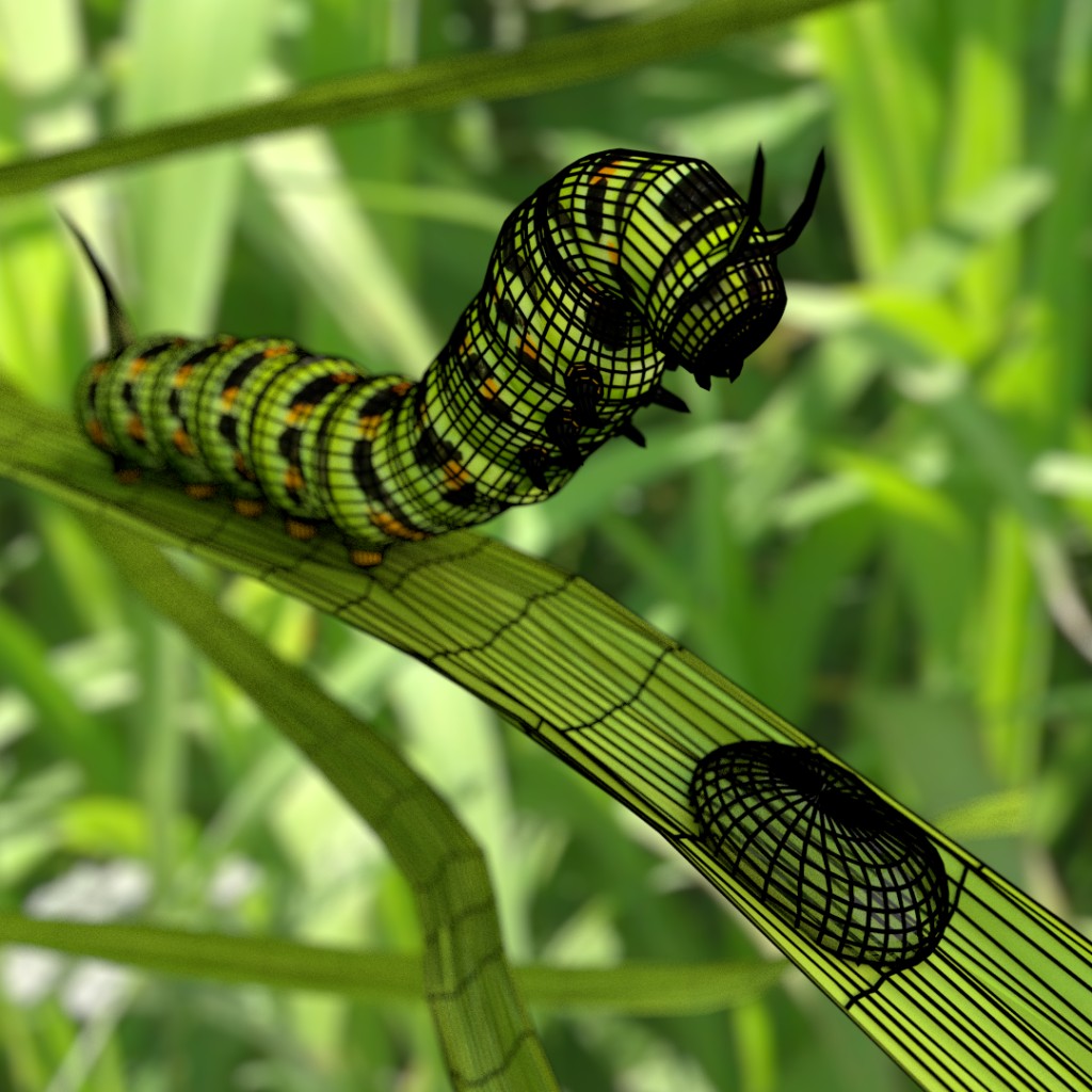 Thirsty caterpillar preview image 2